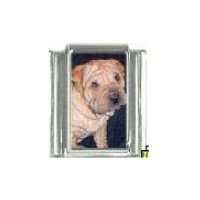 Dog charm - Shar Pei 3 - 9mm Italian charm