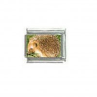 Hedgehog (d) photo - 9mm Italian charm