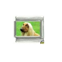 Dog charm - Afghan Hound 5 - 9mm Italian charm