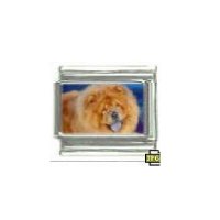 Dog charm - Chow Chow 1 - 9mm Italian charm