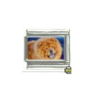 Dog charm - Chow Chow 1 - 9mm Italian charm