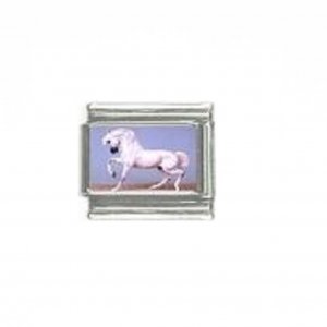 Horse (e) - photo 9mm Italian charm