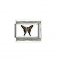 Butterfly photo a113 - 9mm Italian charm