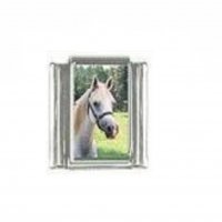 Horse (d) - photo 9mm Italian charm