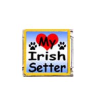 Love my Irish Setter - dog - enamel 9mm Italian charm