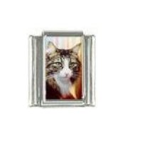 Cat - tabby cat (b) photo 9mm Italian charm