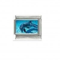 Dolphin (a) photo 9mm Italian charm