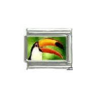 Toucan bird - photo 9mm Italian charm