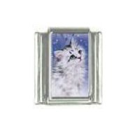 Cat - Grey fluffy cat 9mm photo Italian charm