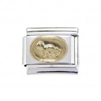 Aquarius Gold Oval (b) (21/1-19/2) 9mm Italian charm
