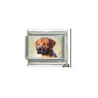 Dog charm - Rhodesian Ridgeback 1 - 9mm Italian charm