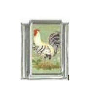 Turkey bird - photo 9mm Italian charm