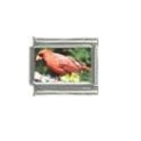 Cardinal bird (d) - photo 9mm Italian charm