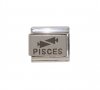 Pisces laser charm (b) (20/2-20/3) 9mm Italian charm