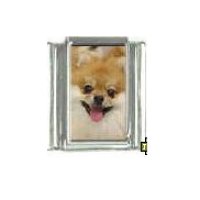 Dog charm - Pomeranian 3 - 9mm Italian charm