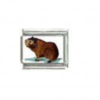 Guinea pig (h) photo charm - 9mm Italian charm