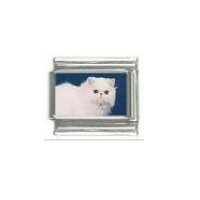 Cat - White fluffy cat (a) - 9mm photo Italian charm