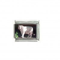 White tiger (b) photo - 9mm Italian charm