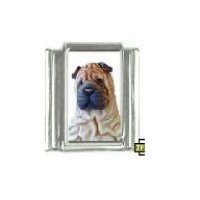 Dog charm - Shar Pei 4 - 9mm Italian charm