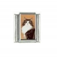 Cat - Brown and white tabby cat 9mm photo Italian charm