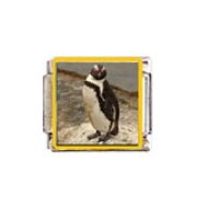 Penguin (n) - enamel 9mm Italian charm