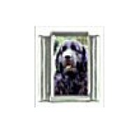 Dog charm - Newfoundland 3 - 9mm Italian charm