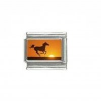 Horse (af) - photo 9mm Italian charm