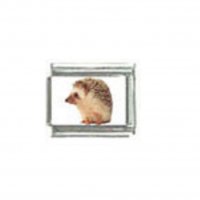 Hedgehog (p) photo - 9mm Italian charm