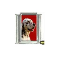 Dog charm - English Setter 4 - 9mm Italian charm