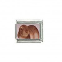Lop eared rabbit (i) - Photo 9mm Italian charm