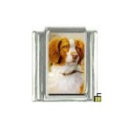Dog charm - Brittany dog 4 - 9mm Italian charm