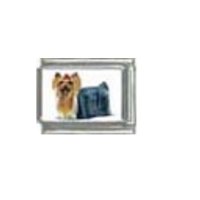 Dog charm - Yorkshire Terrier 12 - photo 9mm Italian Charm