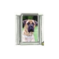 Dog charm - Bull Mastiff 5 - 9mm Italian charm