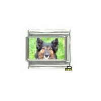 Dog charm - Border Collie 3 - 9mm Italian charm