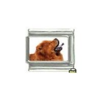 Dog charm - Chow Chow 3 - 9mm Italian charm