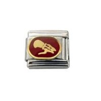 Aquarius enamel charm Dark red (21/1-19/2) 9mm Italian charm