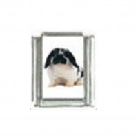 Lop eared rabbit (h) - Photo 9mm Italian charm
