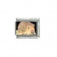 Hedgehog (f) photo - 9mm Italian charm