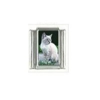 Cat - Burmese cat photo 9mm Italian charm