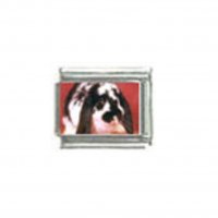 Lop eared rabbit (f) - Photo 9mm Italian charm