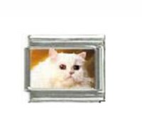 Cat - White fluffy cat (c) - 9mm photo Italian charm