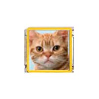 Cat - Ginger tabby cat (d) enamel 9mm Italian charm