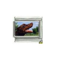 Dog charm - Doberman 1 - 9mm Italian charm