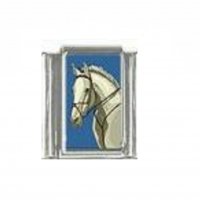 Horse (am) - photo 9mm Italian charm