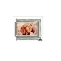 Dog charm - Vizsla 1 - 9mm Italian charm