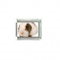 Guinea pig (a) photo charm - 9mm Italian charm