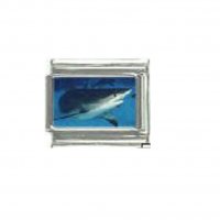 Reef shark - photo 9mm Italian charm