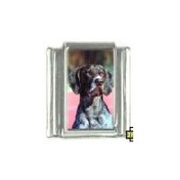 Dog charm - German Shorthaired Pointer 4 - 9mm Italian charm