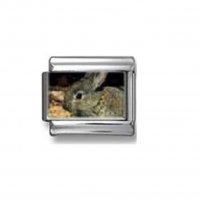 Rabbit - wild - photo 9mm Italian charm