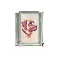 Dog charm - Mastiff 5 - 9mm Italian charm